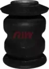 riw-rn11031