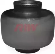 riw-rn11038