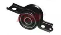 riw-sk11002