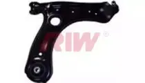 riw-sk6013