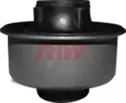riw-to11021