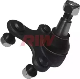 riw-vw1019
