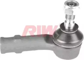 riw-vw2010