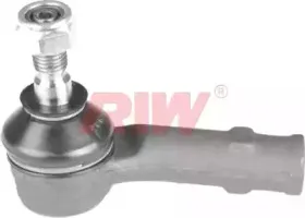 riw-vw2011