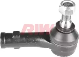 riw-vw2012