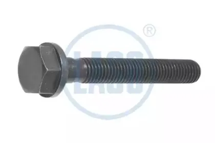 laso-20147102