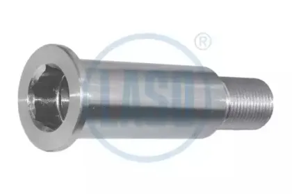 20207108 LASO Коренная шейка, рычаг натяжного ролика