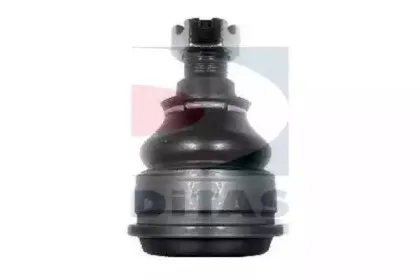 ditas-a25536