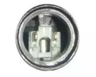 miraglio-301366