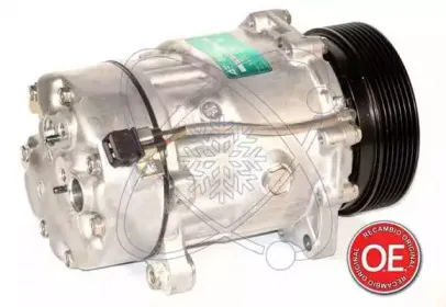electroauto-20a1216