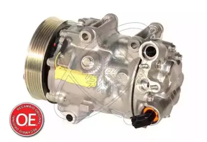 electroauto-20a1301