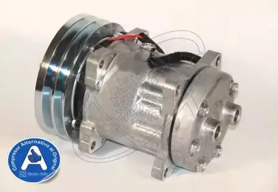 electroauto-20a4609a