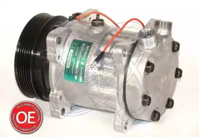 electroauto-20a7919