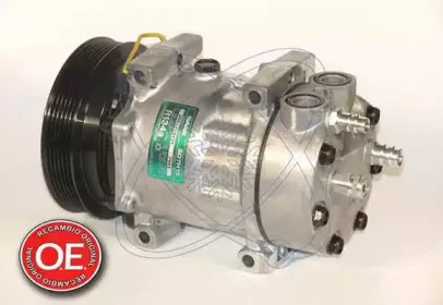 electroauto-20a7943