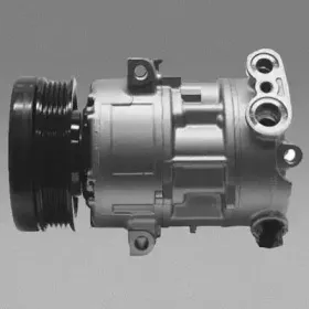 electroauto-20d5040