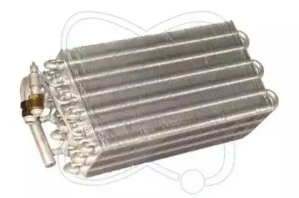 electroauto-43e0005