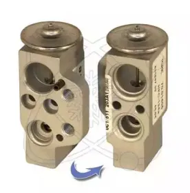 electroauto-60a0018
