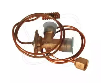 electroauto-60b0006