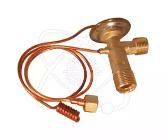 electroauto-60b0010