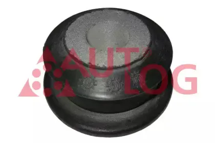 FT2062 AUTLOG Втулка, балка моста