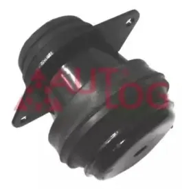 FT2081 AUTLOG
