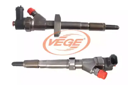 vege-00384910