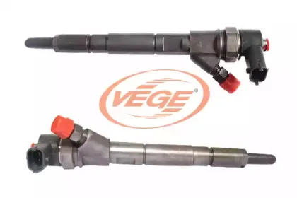 vege-00634910