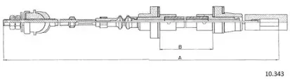cabor-10343
