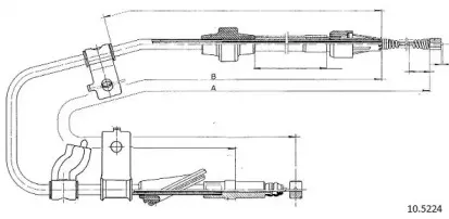 cabor-105224