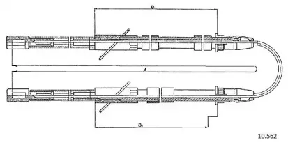 cabor-10562
