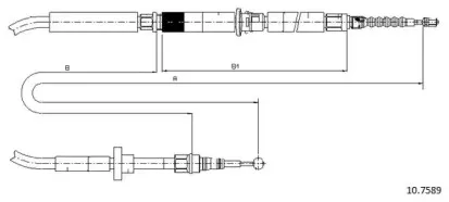 cabor-107589