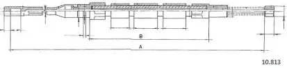 cabor-10813