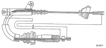 cabor-10817