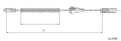 cabor-115793