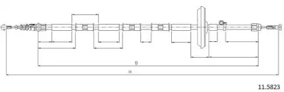 cabor-115823