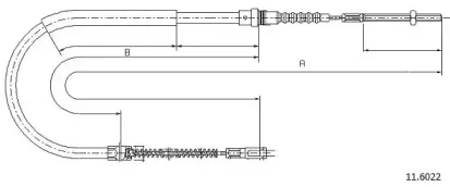 cabor-116022