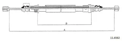 cabor-116582
