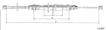 cabor-11667