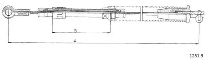 cabor-12519