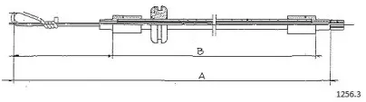cabor-12563