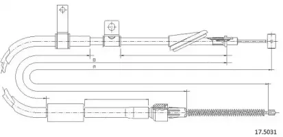 cabor-175031