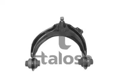 talosa-4000366