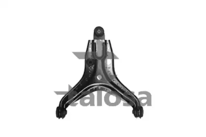 talosa-4002002