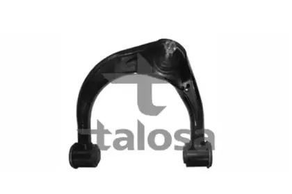talosa-4004738
