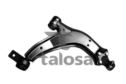 talosa-4009821