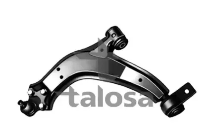 talosa-4009824