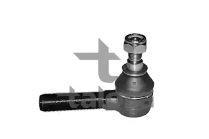 talosa-4209018
