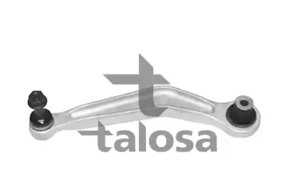 talosa-4600331