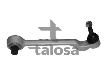 talosa-4600821
