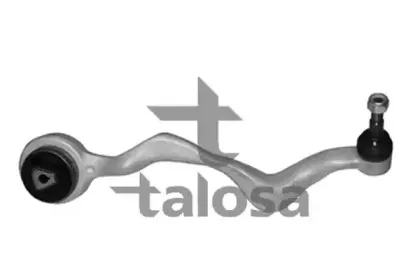 talosa-4600827